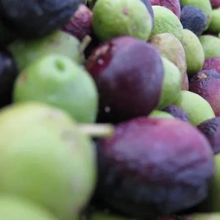 Martina * Primošten