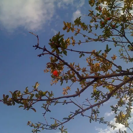 Martina Apartman Primošten