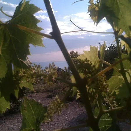 Martina * Primošten