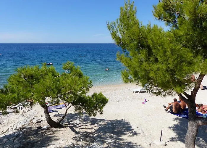 Martina פרימוסטן