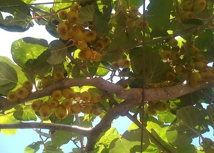 Martina アパート *